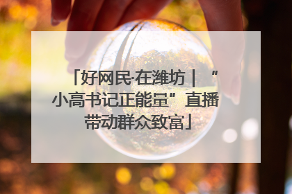 好网民·在潍坊｜“小高书记正能量”直播 带动群众致富