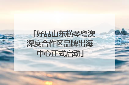好品山东横琴粤澳深度合作区品牌出海中心正式启动