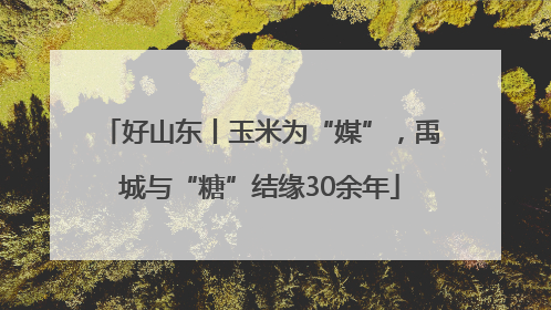 好山东丨玉米为“媒”，禹城与“糖”结缘30余年