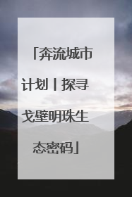 奔流城市计划丨探寻戈壁明珠生态密码
