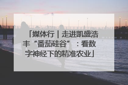 媒体行｜走进凯盛浩丰“番茄硅谷”：看数字神经下的精准农业