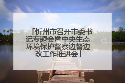 忻州市召开市委书记专题会暨中央生态环境保护督察边督边改工作推进会
