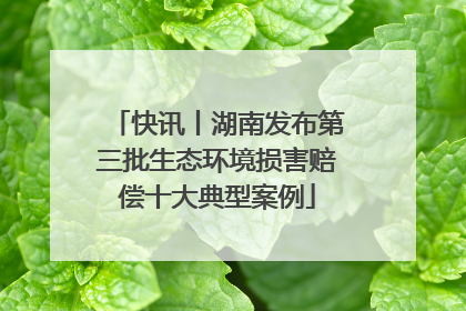 快讯丨湖南发布第三批生态环境损害赔偿十大典型案例
