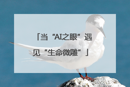 当“AI之眼”遇见“生命微雕”