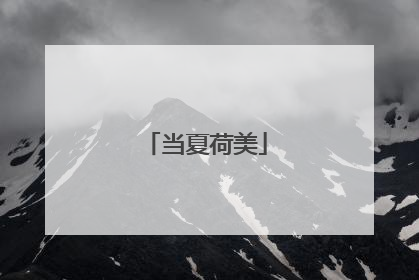 当夏荷美