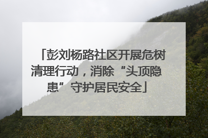 彭刘杨路社区开展危树清理行动，消除“头顶隐患”守护居民安全