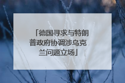 德国寻求与特朗普政府协调涉乌克兰问题立场
