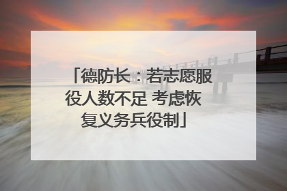 德防长：若志愿服役人数不足 考虑恢复义务兵役制