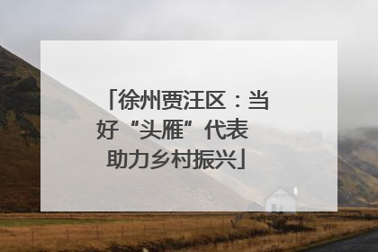 徐州贾汪区：当好“头雁”代表 助力乡村振兴