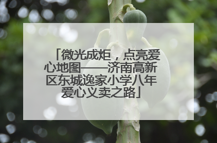 微光成炬，点亮爱心地图——济南高新区东城逸家小学八年爱心义卖之路