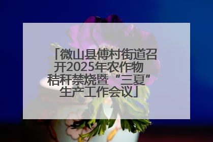 微山县傅村街道召开2025年农作物秸秆禁烧暨“三夏”生产工作会议