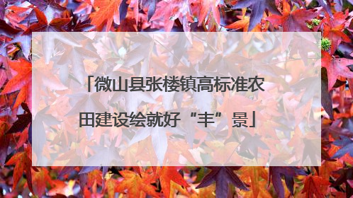 微山县张楼镇高标准农田建设绘就好“丰”景