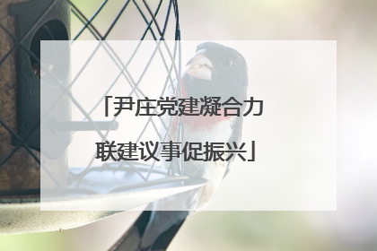 尹庄党建凝合力 联建议事促振兴