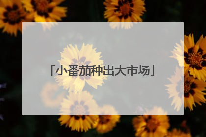 小番茄种出大市场