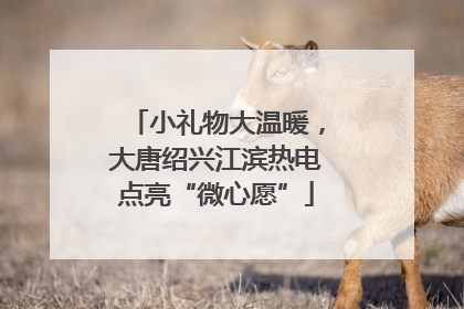 小礼物大温暖，大唐绍兴江滨热电点亮“微心愿”