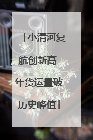 小清河复航创新高 年货运量破历史峰值