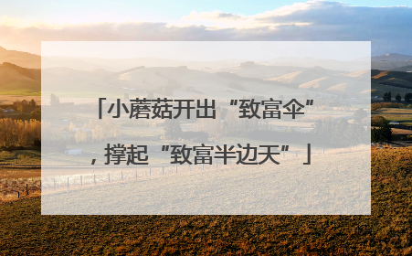 小蘑菇开出“致富伞”，撑起“致富半边天”
