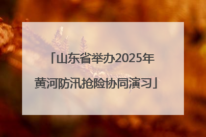 山东省举办2025年黄河防汛抢险协同演习
