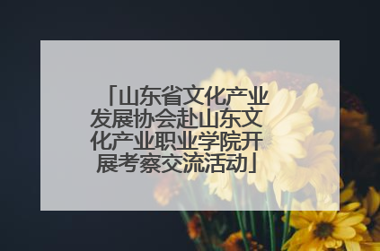 山东省文化产业发展协会赴山东文化产业职业学院开展考察交流活动