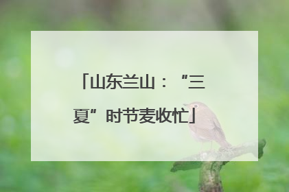 山东兰山：“三夏”时节麦收忙