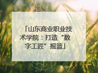 山东商业职业技术学院：打造“数字工匠”摇篮