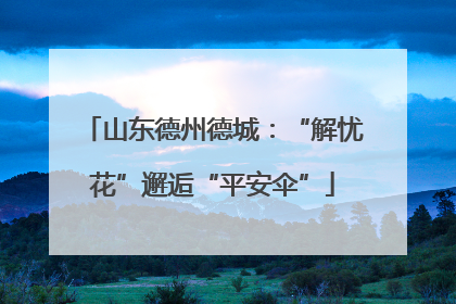 山东德州德城：“解忧花”邂逅“平安伞”