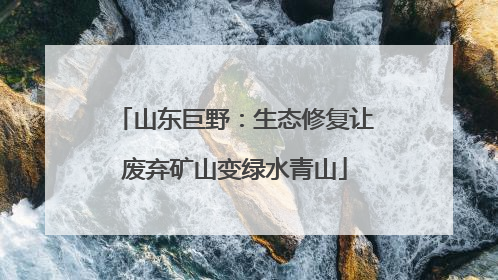 山东巨野：生态修复让废弃矿山变绿水青山