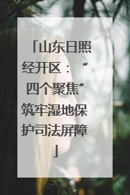 山东日照经开区：“四个聚焦”筑牢湿地保护司法屏障