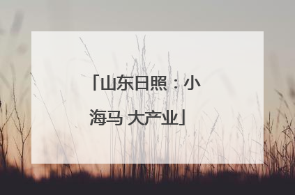 山东日照：小海马 大产业