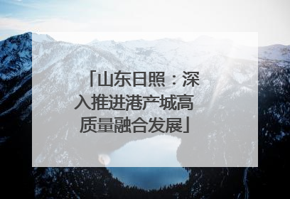 山东日照：深入推进港产城高质量融合发展