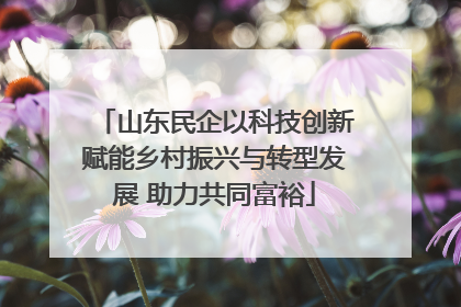 山东民企以科技创新赋能乡村振兴与转型发展 助力共同富裕