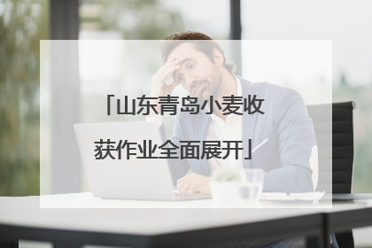 山东青岛小麦收获作业全面展开