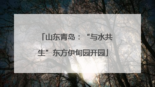 山东青岛：“与水共生”东方伊甸园开园