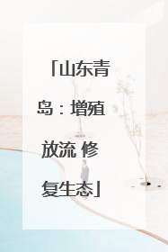 山东青岛：增殖放流 修复生态