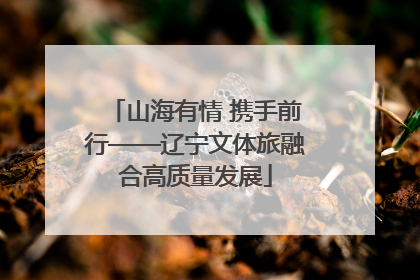 山海有情 携手前行——辽宁文体旅融合高质量发展