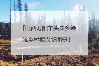 山西寿阳羊头崖乡绘就乡村振兴新图景