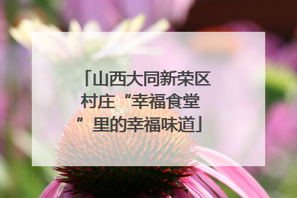 山西大同新荣区 村庄“幸福食堂”里的幸福味道