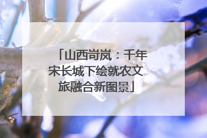 山西岢岚：千年宋长城下绘就农文旅融合新图景