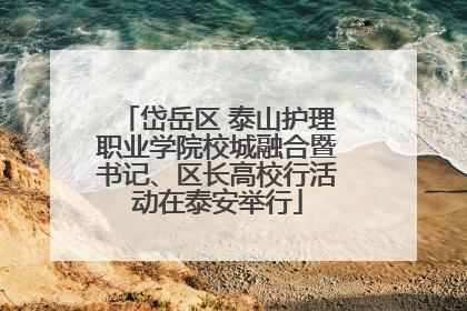 岱岳区 泰山护理职业学院校城融合暨书记、区长高校行活动在泰安举行