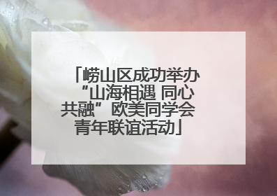 崂山区成功举办“山海相遇 同心共融”欧美同学会青年联谊活动