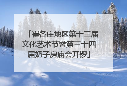 崔各庄地区第十三届文化艺术节暨第三十四届奶子房庙会开锣