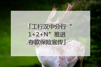 工行汉中分行“1+2+N”推进存款保险宣传