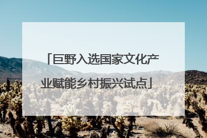 巨野入选国家文化产业赋能乡村振兴试点