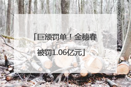 巨额罚单！金穗春被罚1.06亿元