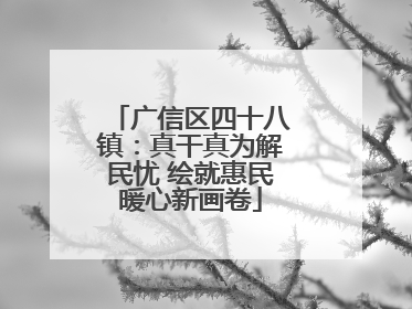 广信区四十八镇：真干真为解民忧 绘就惠民暖心新画卷