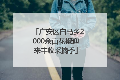 广安区白马乡2000余亩花椒迎来丰收采摘季