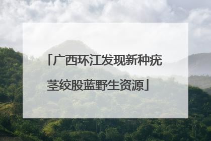 广西环江发现新种疣茎绞股蓝野生资源