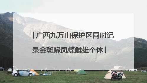 广西九万山保护区同时记录金斑喙凤蝶雌雄个体