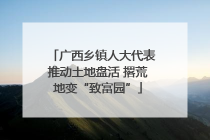 广西乡镇人大代表推动土地盘活 撂荒地变“致富园”