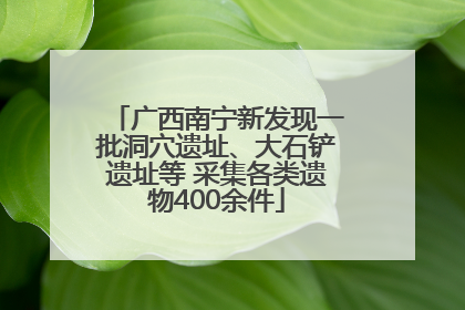 广西南宁新发现一批洞穴遗址、大石铲遗址等 采集各类遗物400余件